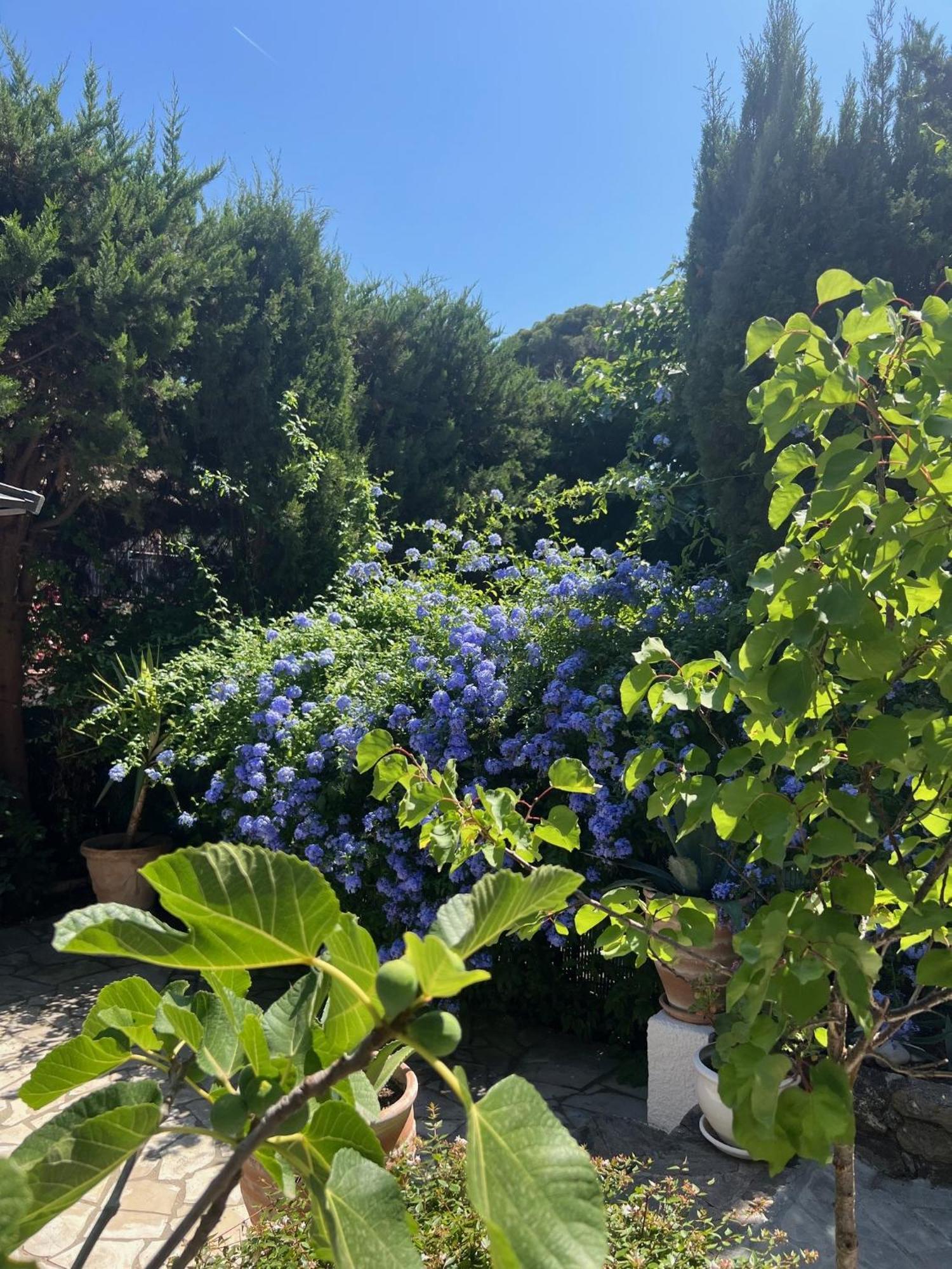 Superbe Appartement Avec Terrasse Jardin Et Parking Prive Saint Tropez Exteriér fotografie
